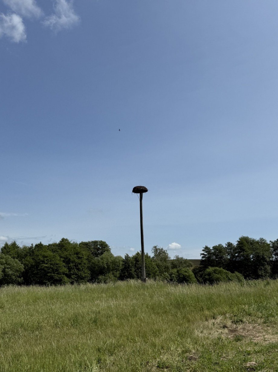  Wohngrundst�ck Rehna / Gletzow