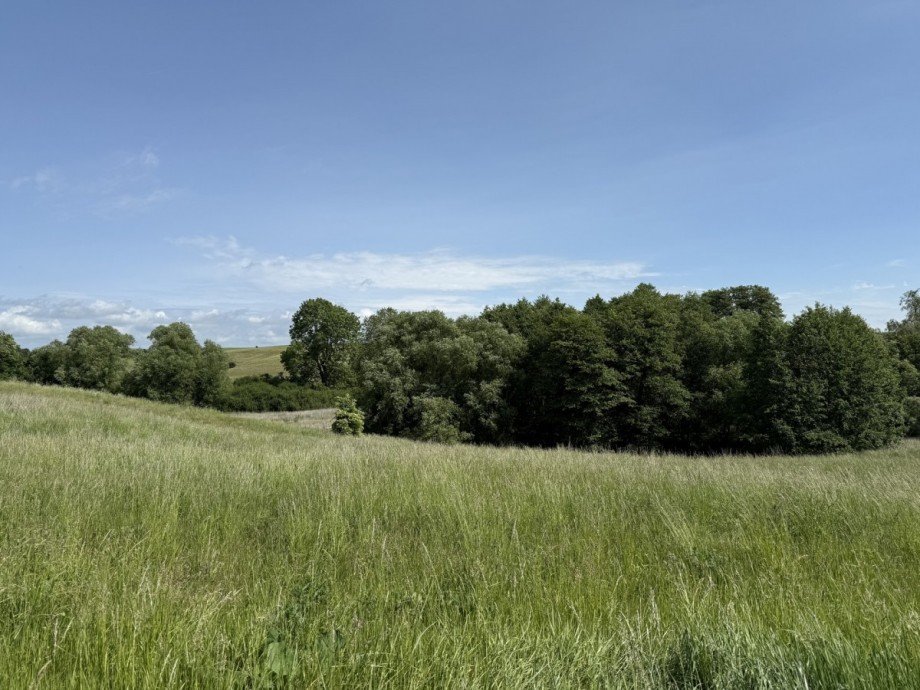  Wohngrundst�ck Rehna / Gletzow