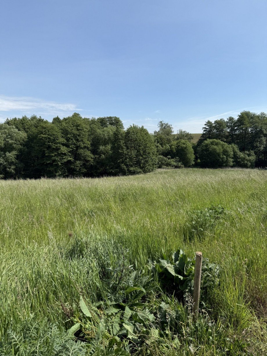  Wohngrundst�ck Rehna / Gletzow