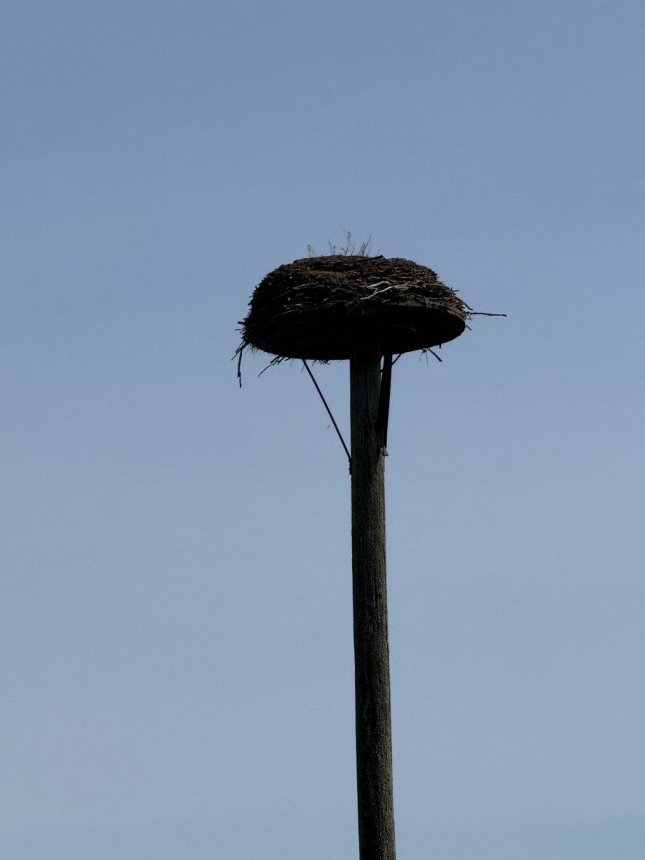  Wohngrundst�ck Rehna / Gletzow